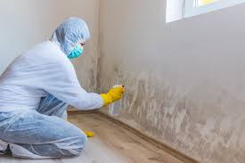 Best Industrial Mold Remediation  in Hamburg, NJ