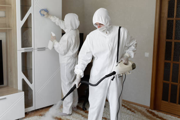 Best Residential Mold Inspection & Testing  in Hamburg, NJ